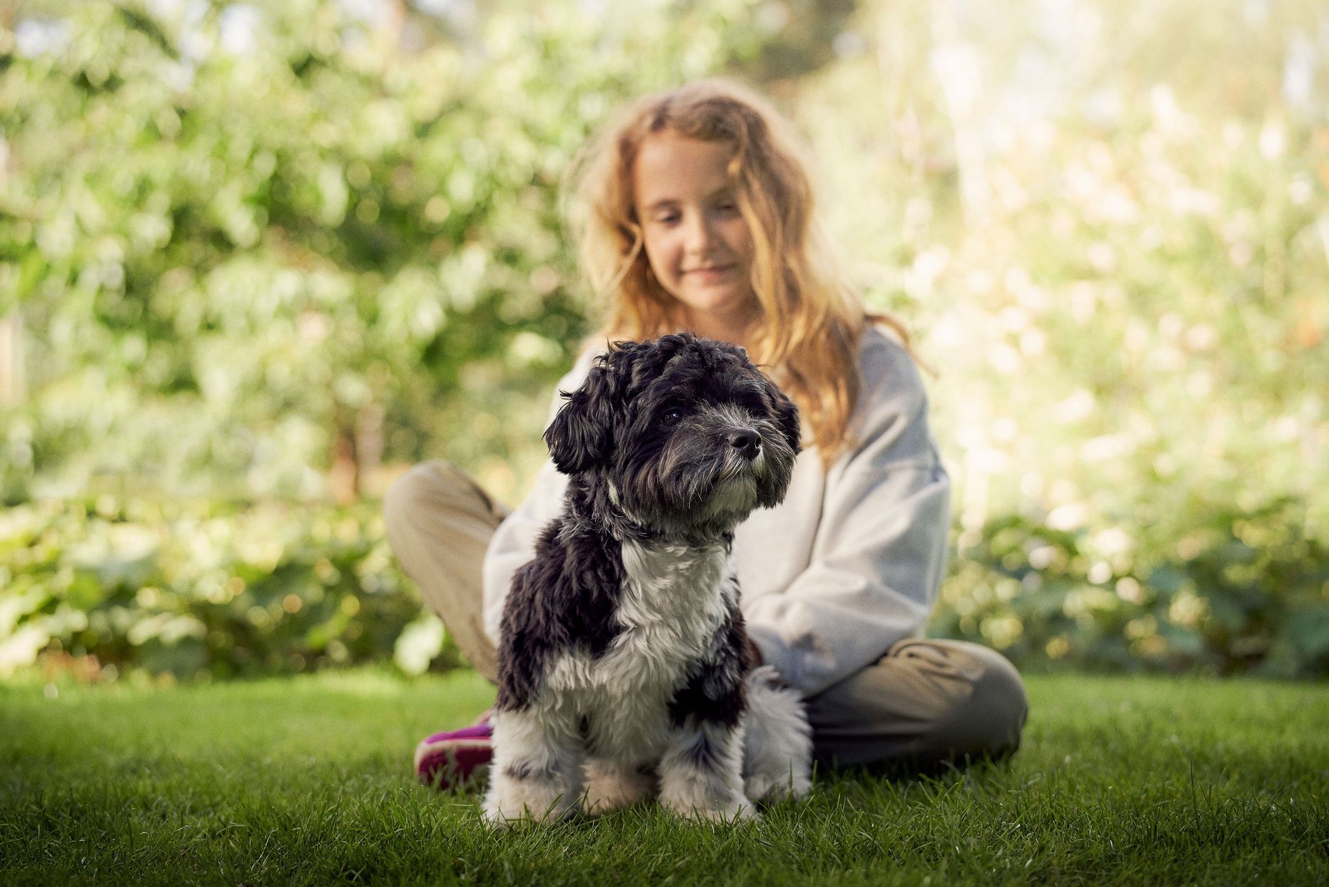 Une fillette est assise sur la pelouse, son chien devant elle.