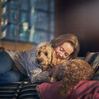 Femme sur le canapé qui fait un câlin à son chien