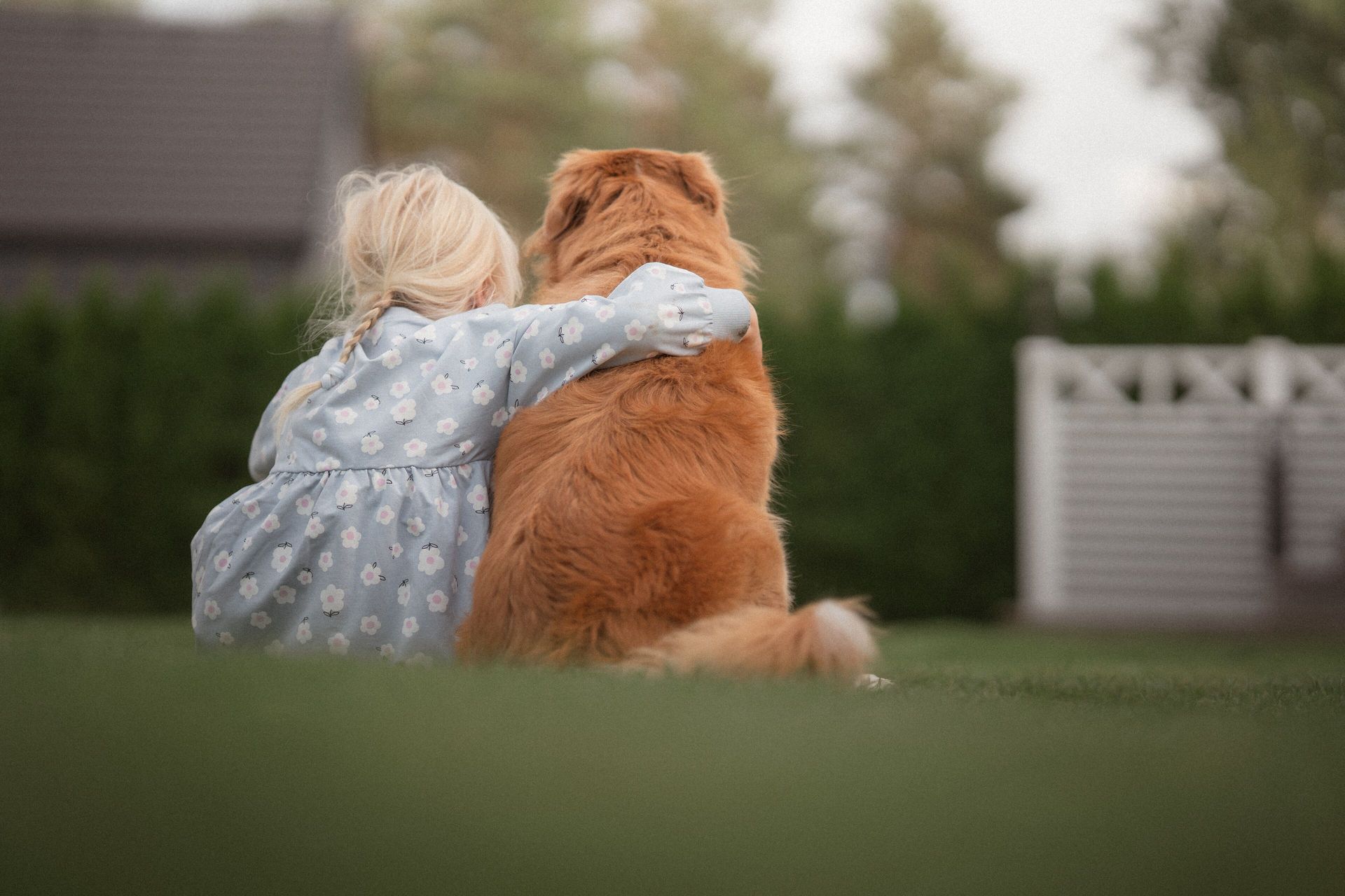 petite fille qui met son bras sur un chien assit à côté d'elle