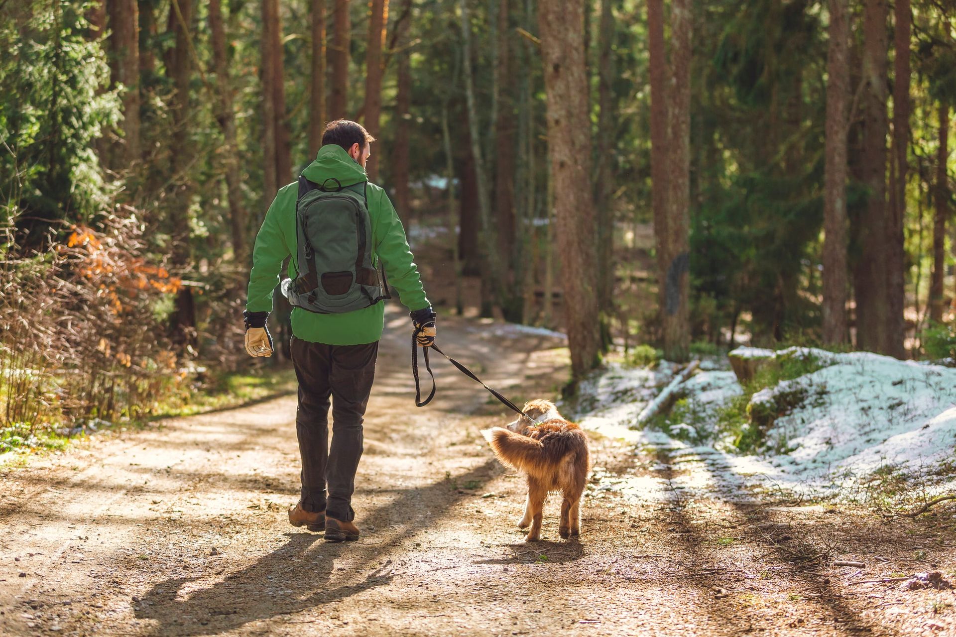chien et son maître qui se promènent