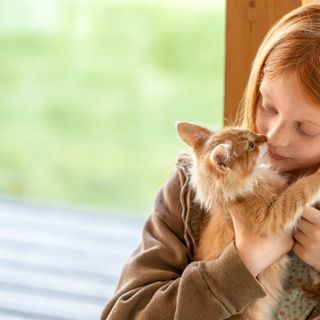 petite fille qui tient un chat roux