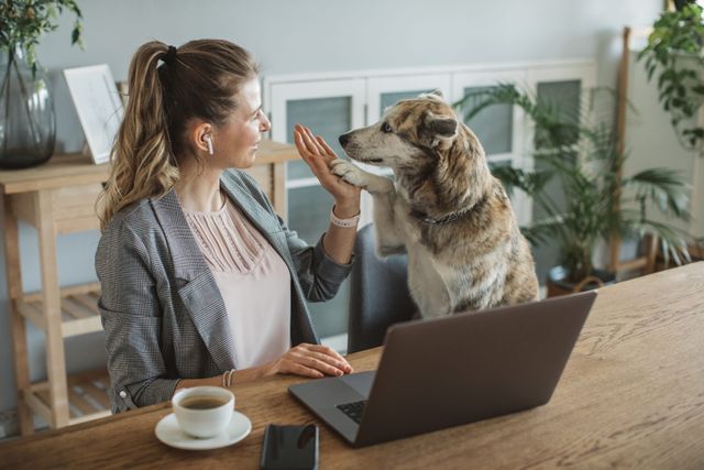 Hund ger high five till kvinna vid datorn