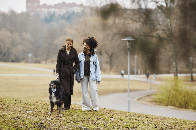 Två personer går med sin hund i koppel i en park.