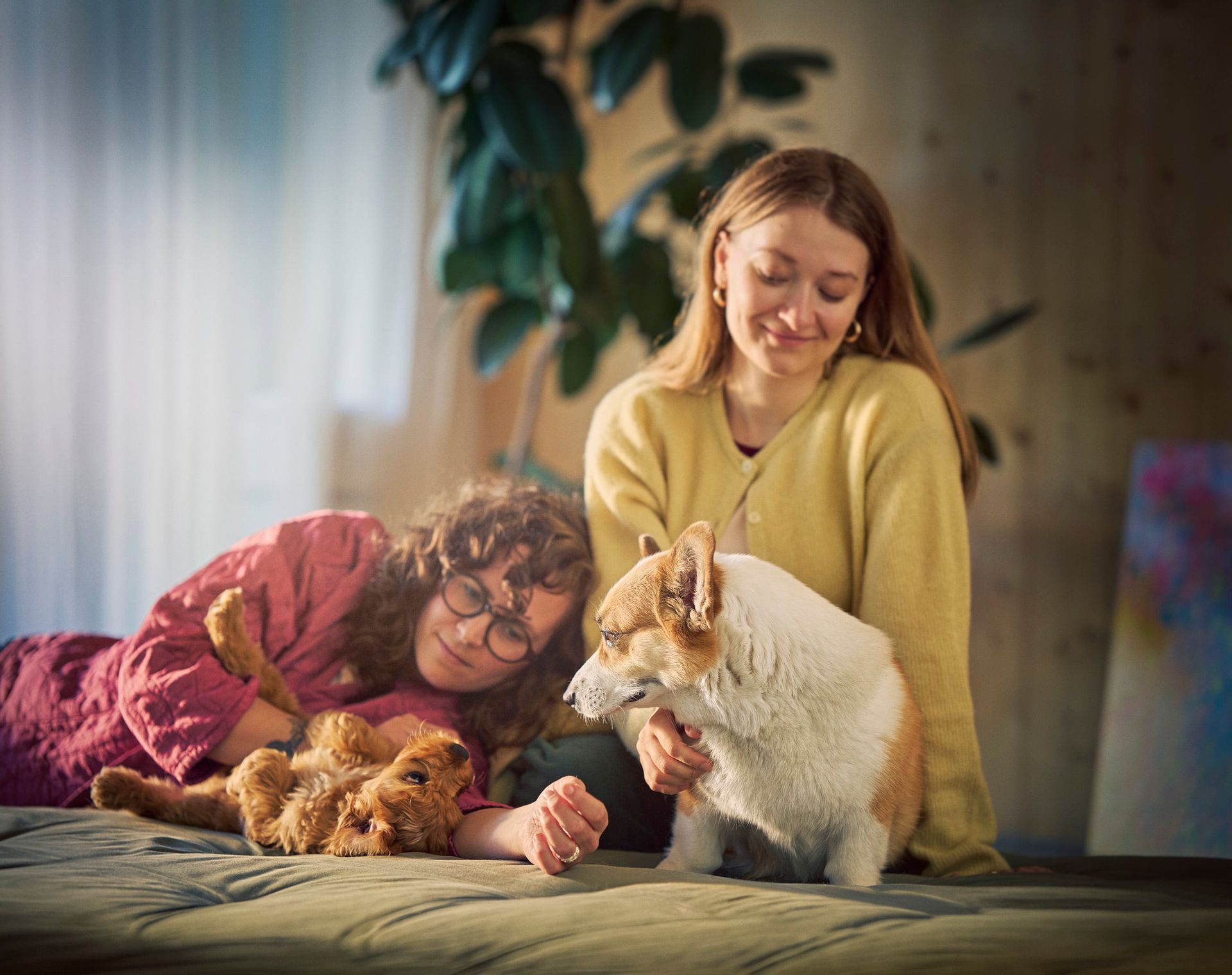 deux femmes avec deux chiens