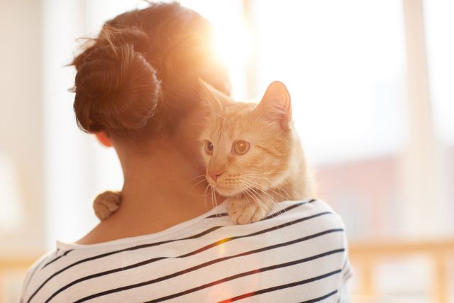 femme qui fait un câlin à un chat roux