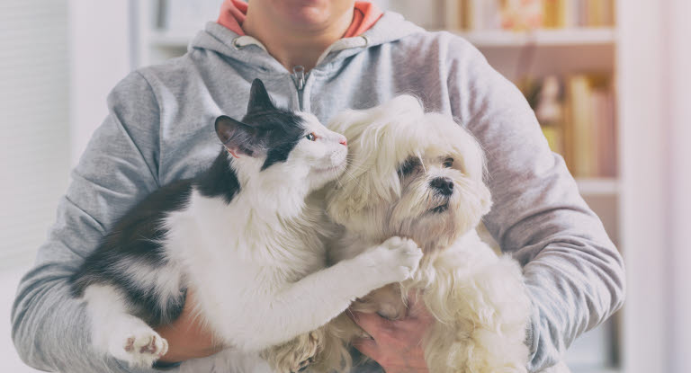 Un chat et un chien dans les bras de leur maîtresse