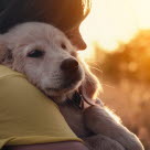 Chiot dans les bras d'une femme