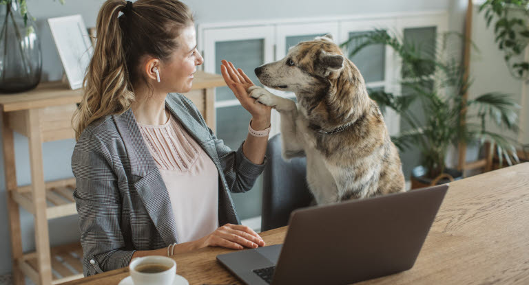 jeune femme chien main contre patte