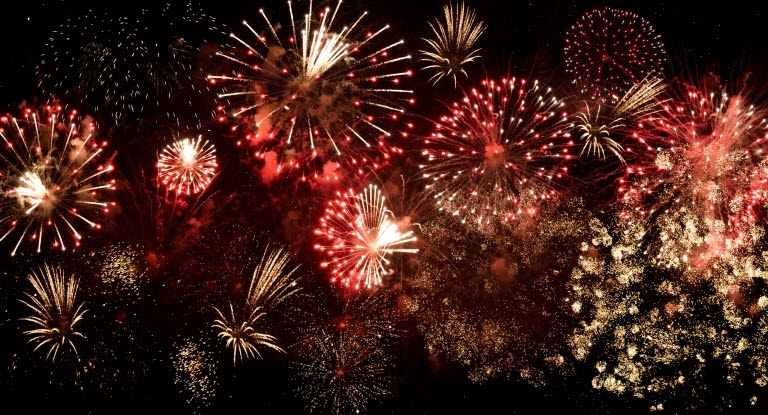 Animaux Et Festivites De Fin D Annee La Peur Des Feux D Artifice Agria Assurance Pour Animaux