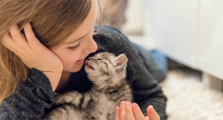 Petite fille avec un chaton