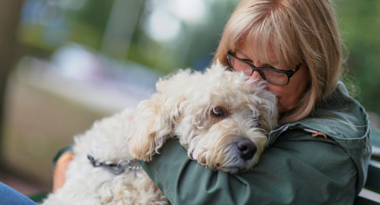 Chien blanc dans les bras de sa maîtresse