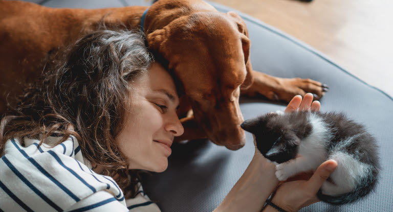 Femme qui caresse  un chaton dans ses mains avec un chien à côté d'elle