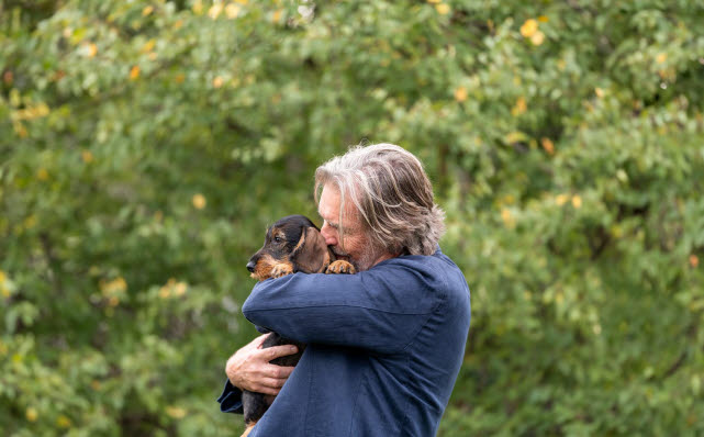 Propriétaire qui tient son chien Teckel assuré dans les bras