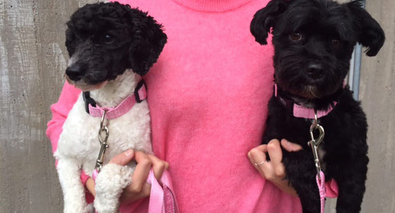 Femme avec un pull rose tenant deux chiens dans ses bras