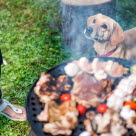 Chien devant un barbecue