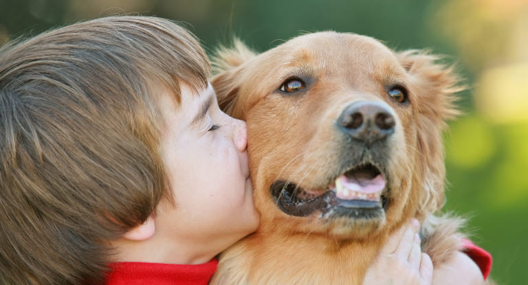 Petit garçon avec un chien