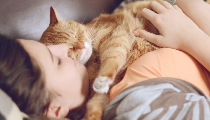 Un chat roux allongé dort sur sa maîtresse