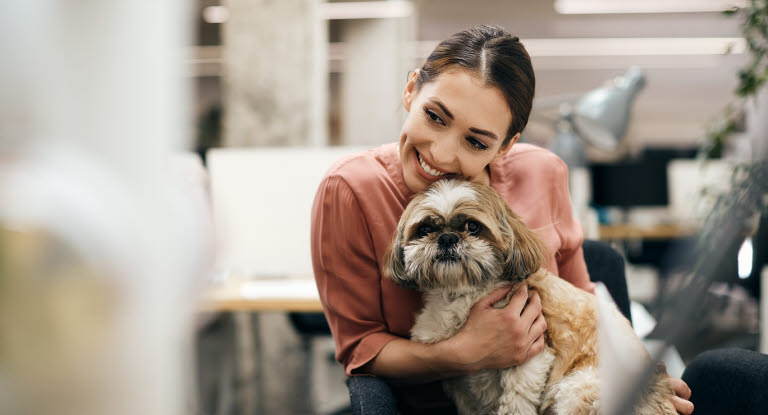 chien sur les genoux de sa propriétaire