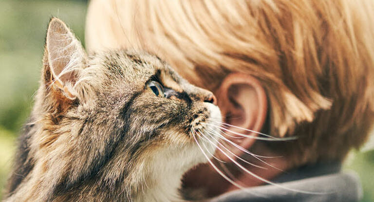 Chat dans les bras d'une femme