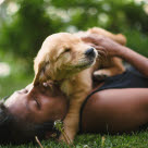 Chiot dans les bras de sa maîtresse allongée dans l'herbe