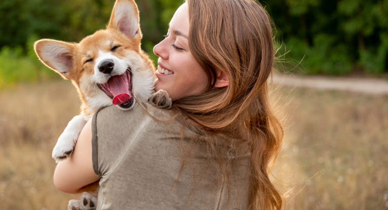 Femme qui tient un corgi qui sourit dans ses bas