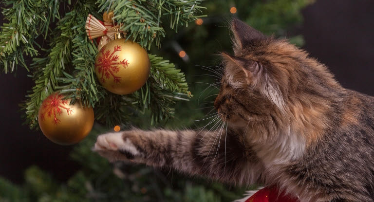Un chat près d'un sapin de Noël jouant avec les décorations
