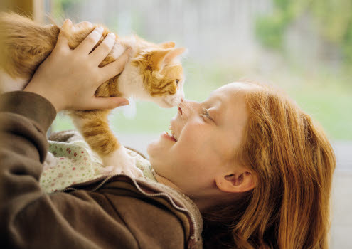 Petite fille qui tient un chaton dans ses mains et qui colle son museau à son nez