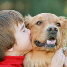 Petit garçon avec un chien