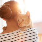 Un chat jour à contre jour dans les bras de sa maîtresse vue de dos