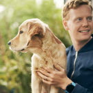 chien sur les genoux de son propriétaire